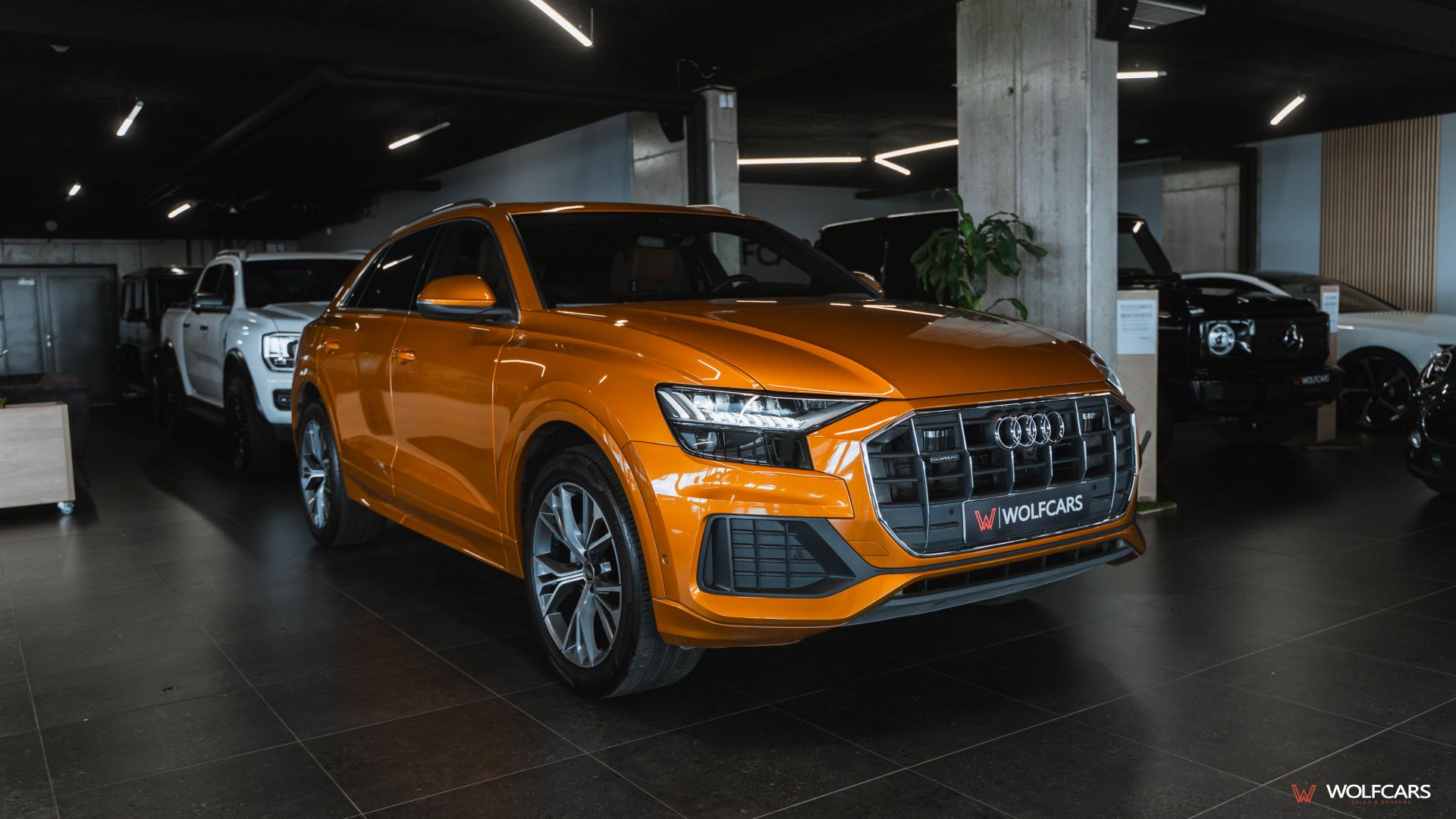 Audi Q8 50 3.0 TDI quattro MHEV