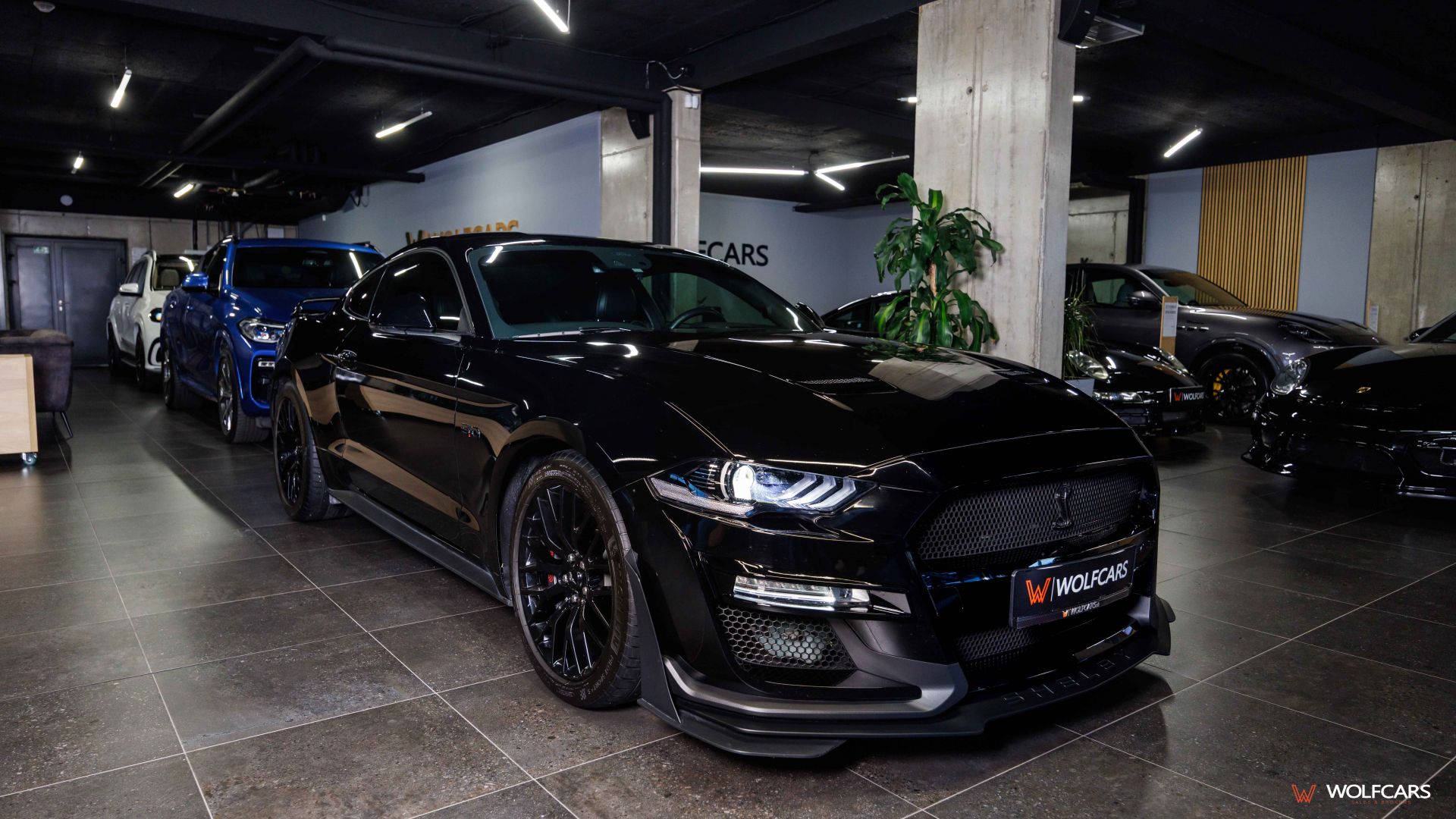 Ford Mustang 55 Years Edition / Shelby GT 500 Optik Ford Mustang 55 Years Edition / Shelby GT 500 Optik