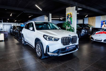 BMW X1 xDrive 20d