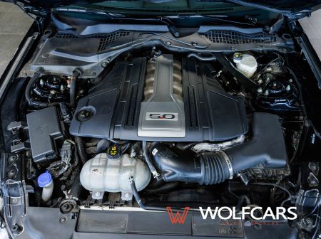 Ford Mustang 55 Years Edition / Shelby GT 500 Optik