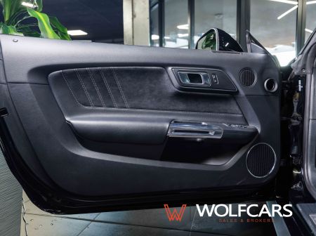 Ford Mustang 55 Years Edition / Shelby GT 500 Optik