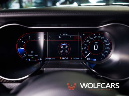 Ford Mustang 55 Years Edition / Shelby GT 500 Optik