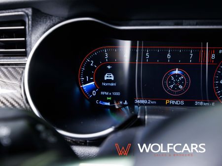 Ford Mustang 55 Years Edition / Shelby GT 500 Optik