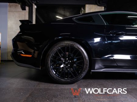 Ford Mustang 55 Years Edition / Shelby GT 500 Optik