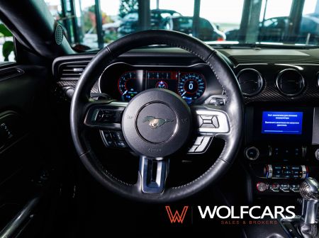 Ford Mustang 55 Years Edition / Shelby GT 500 Optik