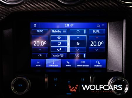 Ford Mustang 55 Years Edition / Shelby GT 500 Optik