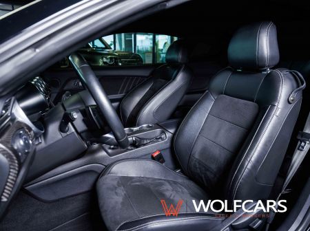 Ford Mustang 55 Years Edition / Shelby GT 500 Optik