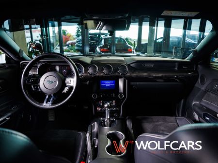 Ford Mustang 55 Years Edition / Shelby GT 500 Optik