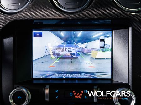 Ford Mustang 55 Years Edition / Shelby GT 500 Optik