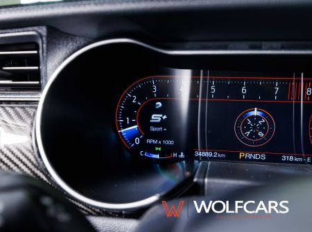 Ford Mustang 55 Years Edition / Shelby GT 500 Optik