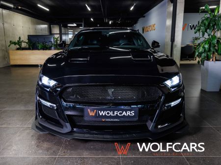 Ford Mustang 55 Years Edition / Shelby GT 500 Optik