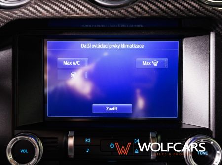 Ford Mustang 55 Years Edition / Shelby GT 500 Optik