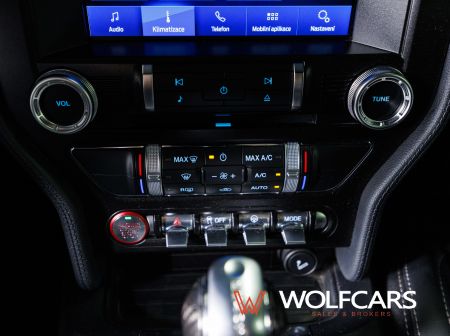 Ford Mustang 55 Years Edition / Shelby GT 500 Optik