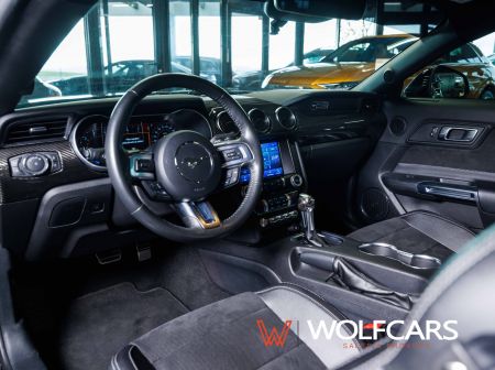 Ford Mustang 55 Years Edition / Shelby GT 500 Optik