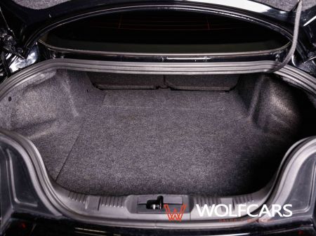 Ford Mustang 55 Years Edition / Shelby GT 500 Optik